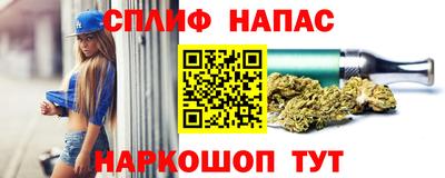 стафф Славгород