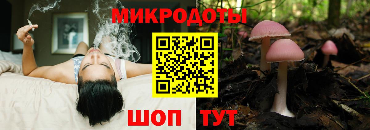 Псилоцибиновые грибы MAGIC MUSHROOMS  Вход с VPN  наркотики  Нальчик 
